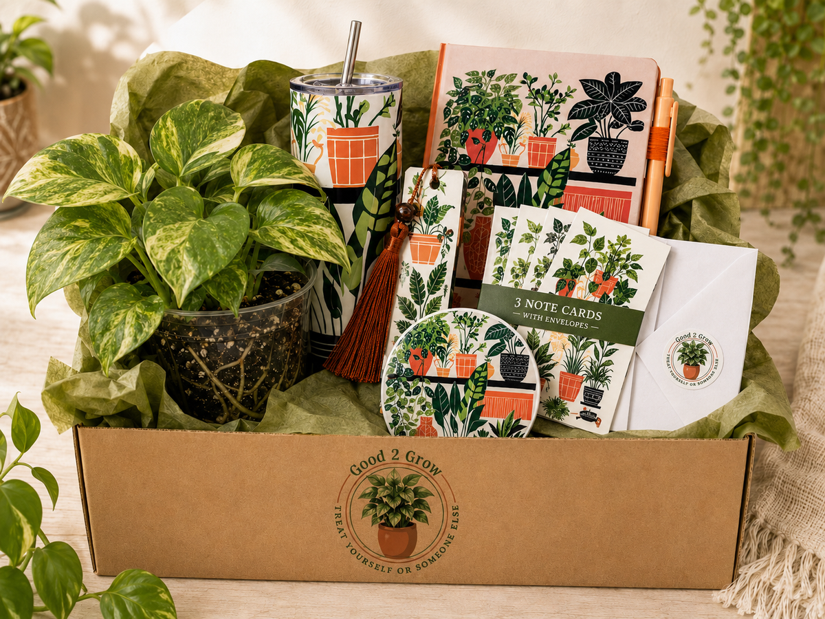 Plant Shelf Plant Lover Bundle Box / Tumbler