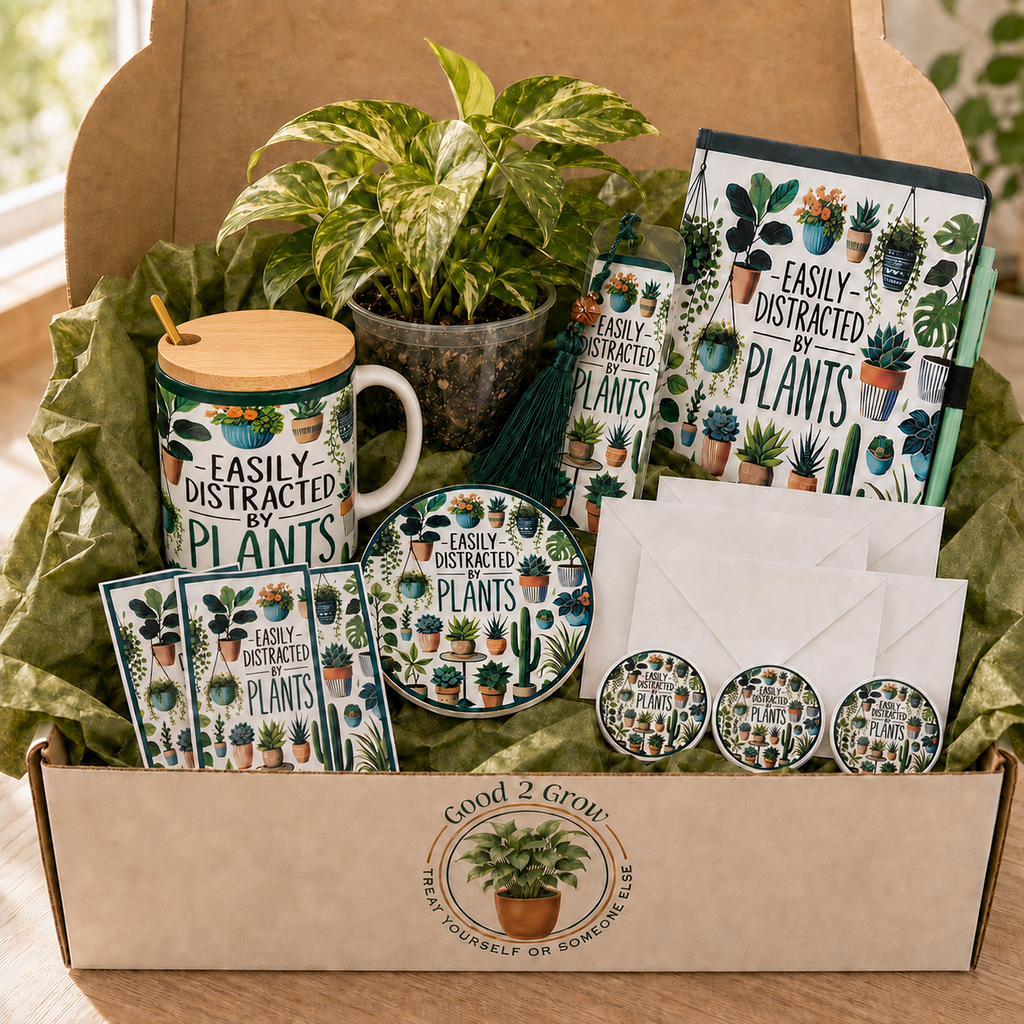 Easily Distracted by Plants Mug Bundle Box