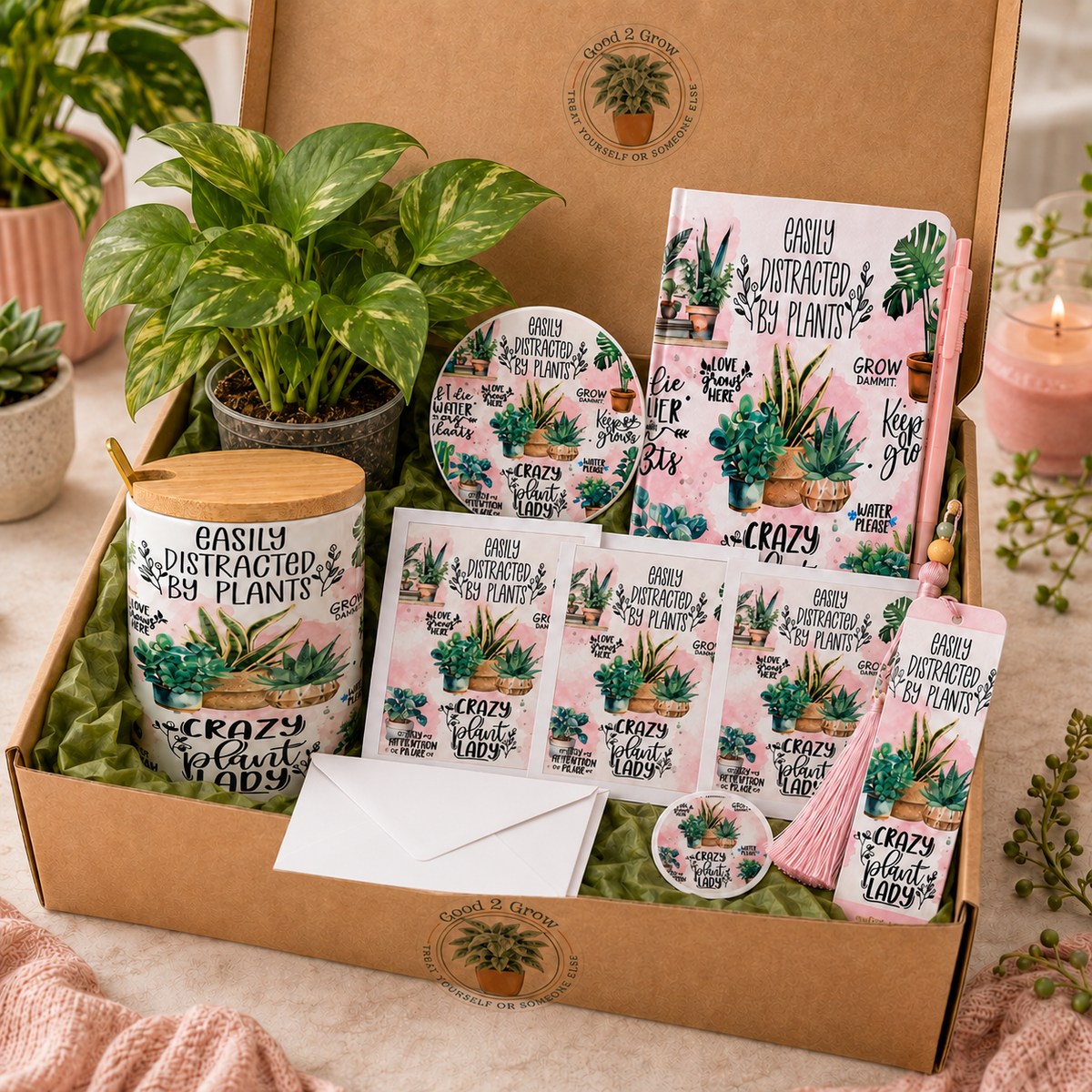 Crazy Plant Lady Mug Plant Lover Bundle Box