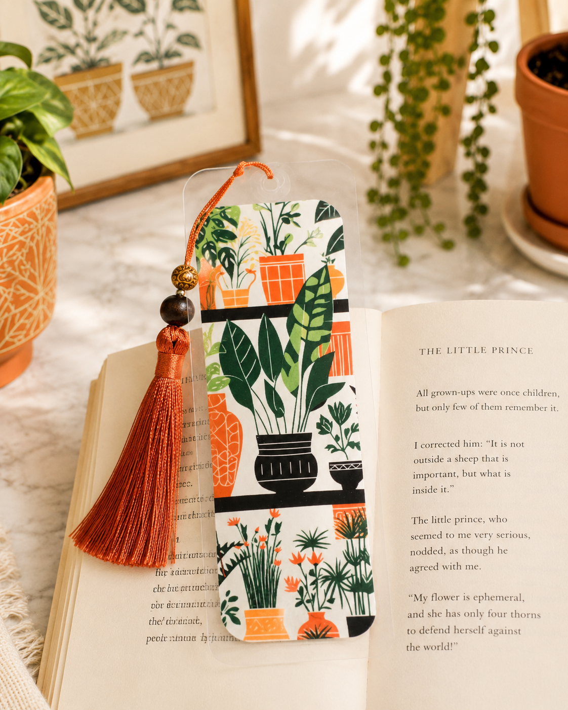 Plant Shelf Plant Lover Bundle Box / Tumbler